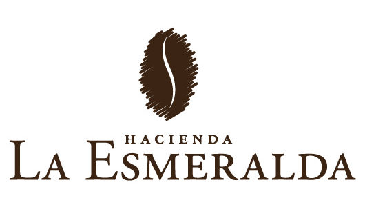 La Esmeralda Microlots La Esmeralda Microlots
