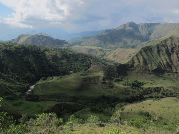 Colombia Inzá Cauca Smallholders - Image 5