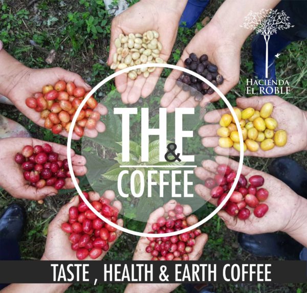 Colombia Hacienda El Roble – HR 61 – Natural Process – Organic – Bird Friendly - Image 3