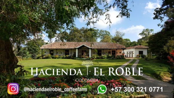 Colombia Hacienda El Roble – Caturra – Organic – Bird-Friendly - Image 3