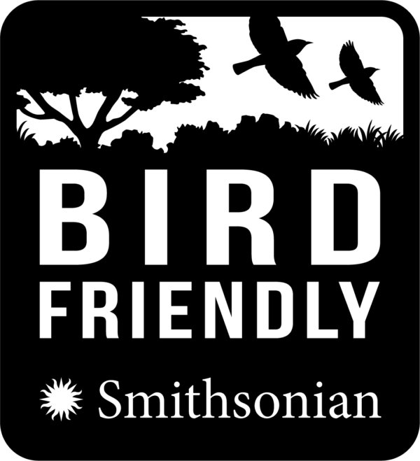 Ethiopia Asikana Lalisa Birbir – Natural Grade 1 - Image 5