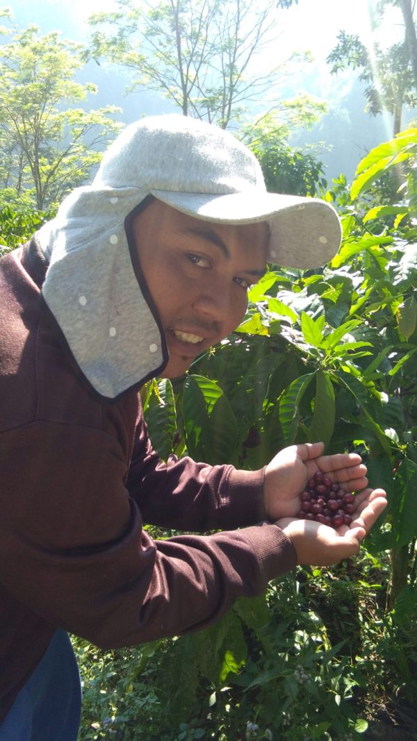 Ethiopia 2021 CoE #1 – Sidamo Tamiru Tadesse Tesema - Image 3