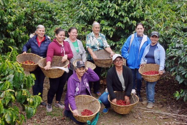 Mexico La Yerba Women Producers Reserva Natural Bourbon SHG - Image 2