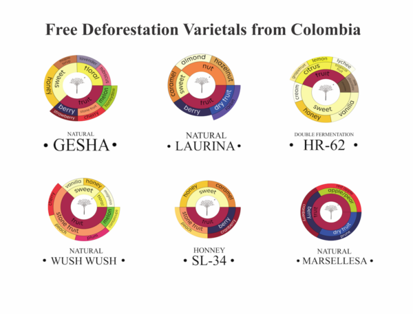 Colombia Hacienda El Roble Mesa de los Santos Multivarietal  Box - Image 3